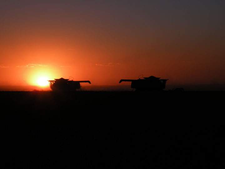 Oct. 26: This Your Saskatchewan photo of the last days of harvest was taken by Debbie Lewis near Dinsmore.