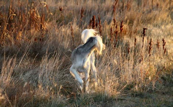 Oct. 29: Eroca Batty took this Your Saskatchewan photo in Martensville.