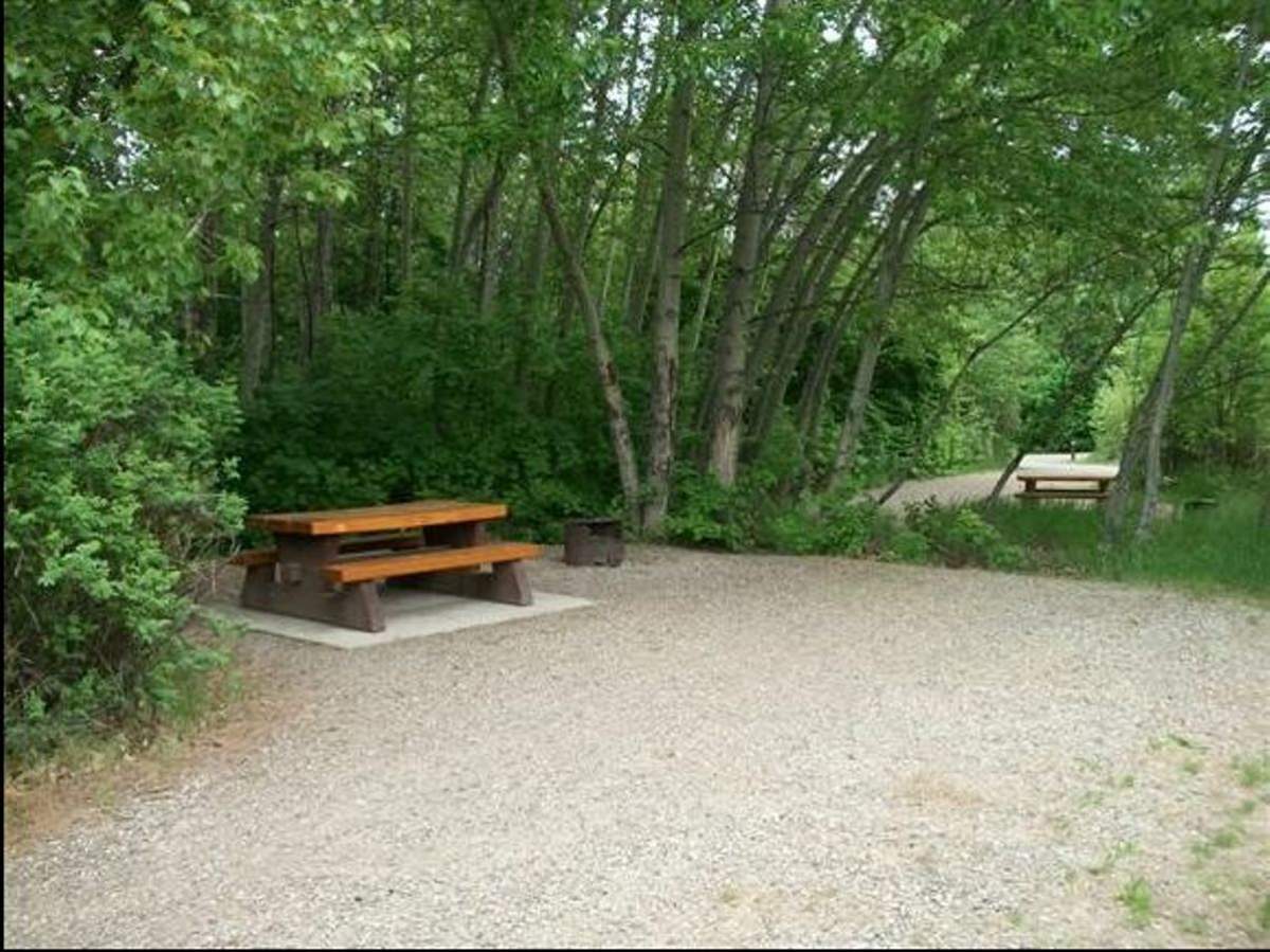 B.C. parks draw record number of visitors - image