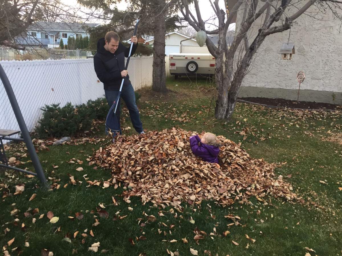 Nathan Van Driel rakes leaves with his 16 month old daughter, Lindon.