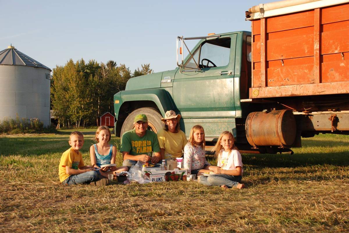 3 young sisters killed in farming incident in central Alberta - image