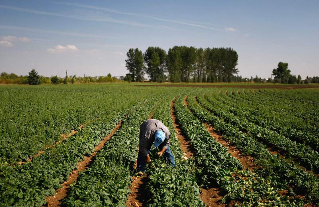 The next real estate target for foreign investors? Canadian farmland - image