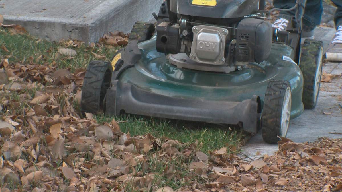 Instead of raking, you can try running the lawn mower (without the grass trap) over fallen leaves to mulch them up.