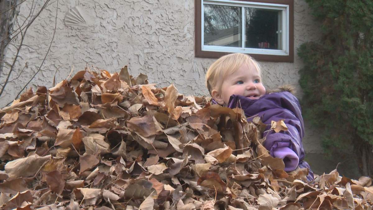Lindon vanDriel plays in the piles of leaves in her backyard.
