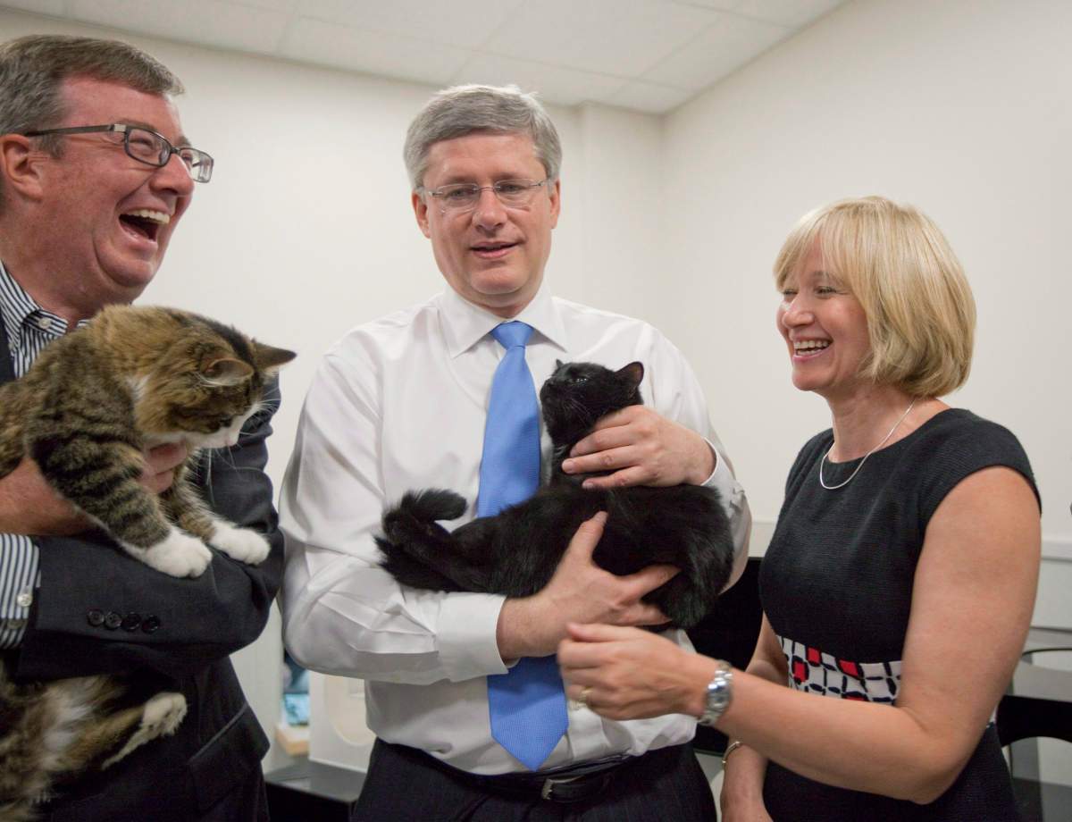Ottawa Mayor Jim Watson, along wth Prime Minister Stephen Harper and his wife Laureen (left to right), pet cats as they take part in the opening of the Ottawa Humane Society facility in Ottawa Wednesday, July 6, 2011. The outgoing prime minister has long been known to have a fondness for felines. Indeed, prior to being elected in 2006, Harper quipped he was like one himself, because of his many political lives.