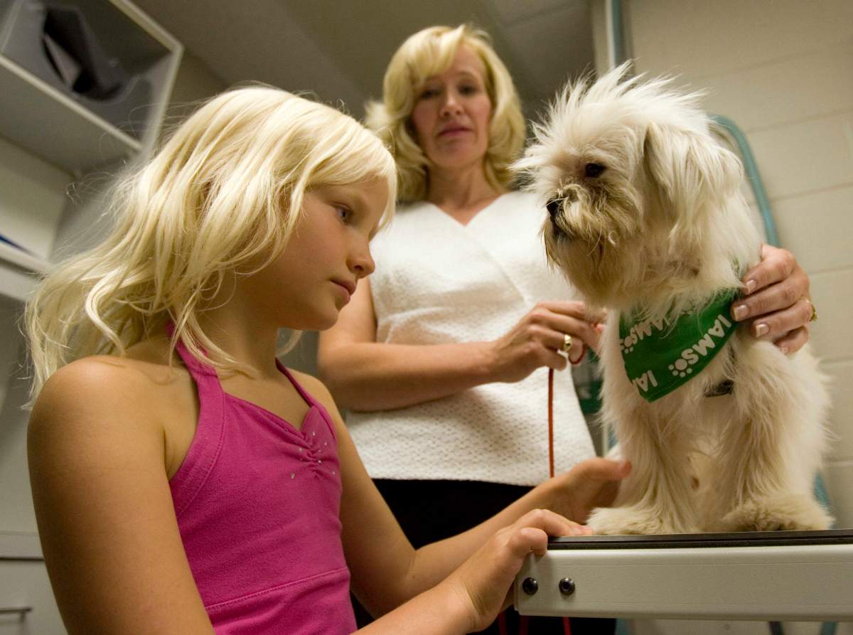 Rachel Harper pets Fozzie at the Ottawa Humane Society while Laureen Harper, wife of Prime Minister Stepohen Harper, talks with the media after launching the 18th annual IAMS Wiggle Waggle Walkathon Thursday, August 17, 2006 in Ottawa.