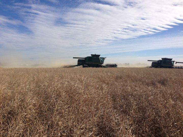 Grain and specialty-crop handler Agrocorp Processing is moving its Canadian headquarters to Saskatchewan.