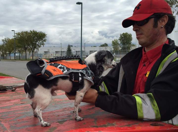 Nacho and his owner, Marco Trujillo, on Tuesday, October 6, 2015.