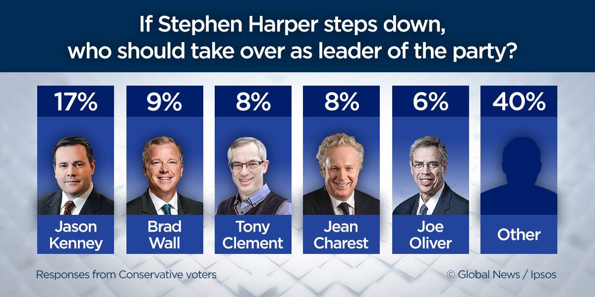 Federal Election 2015: Who will replace Conservative leader Stephen Harper? - image