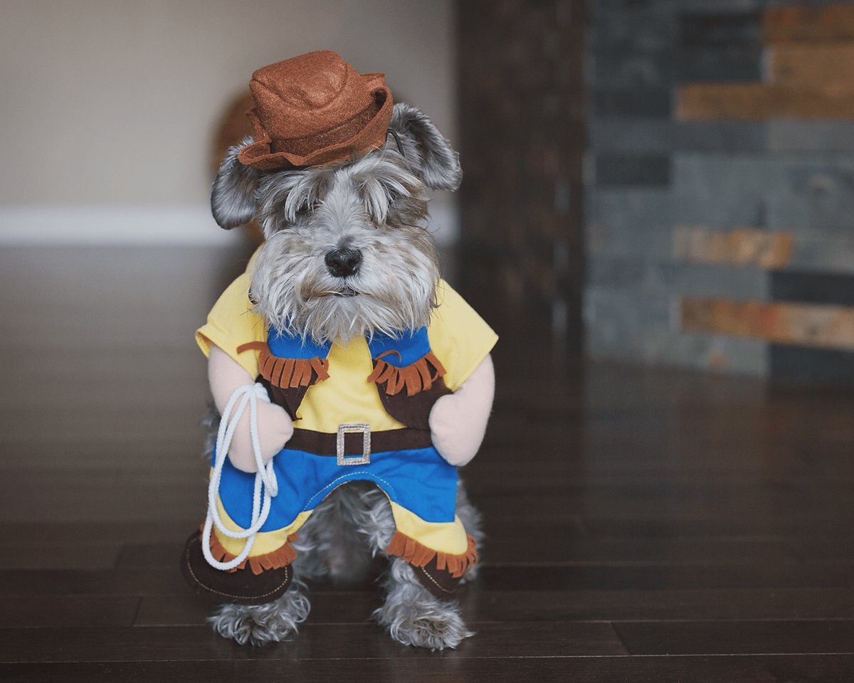 Does it get any more adorable than this?.