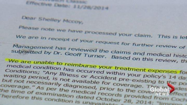 Persistence paid off for Calgary couple who fought pet insurance claim rejection - image