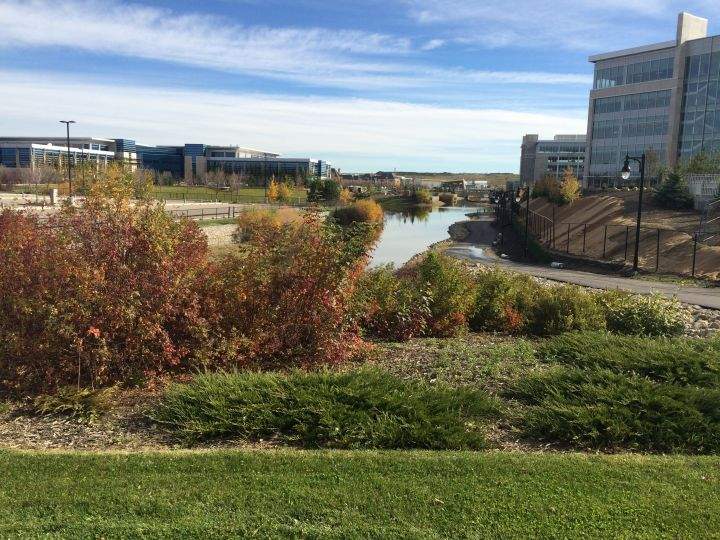 #OurYYC On the Road: Global News Hour at 6 in Quarry Park - image