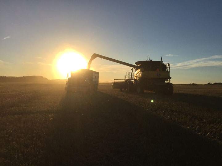 October 11: This Your Saskatchewan photo was taken by Misha Cherniak at Cando.