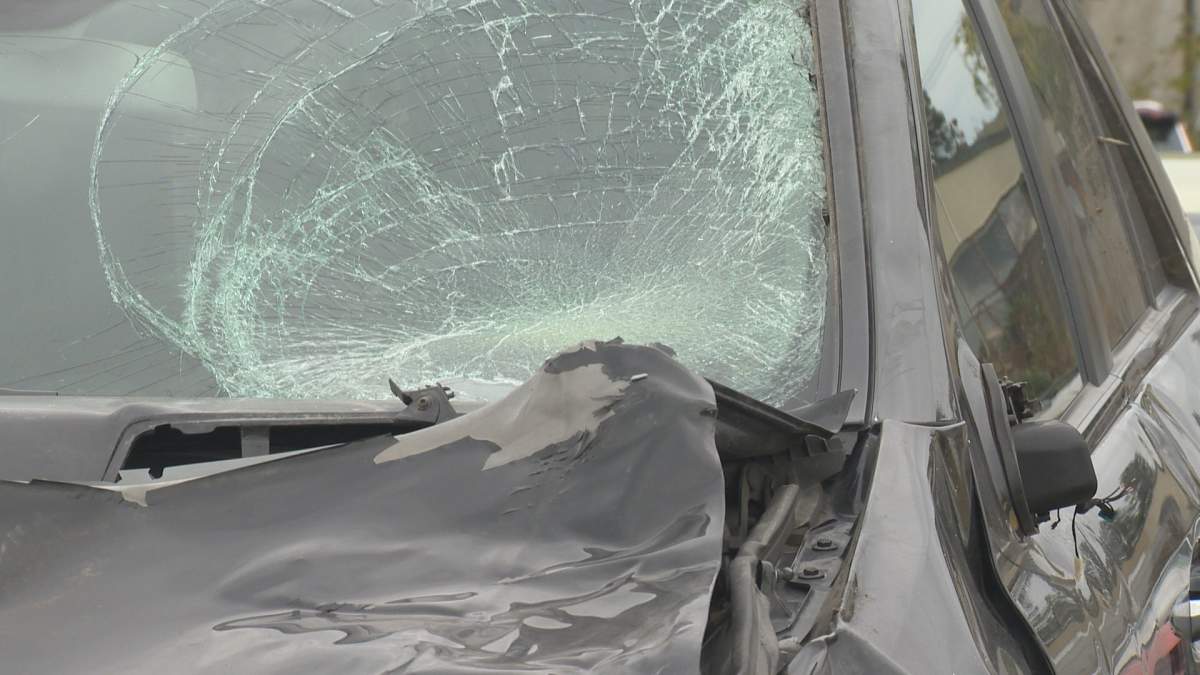 The driver of this vehicle didn't see a dark horse on the road in time and fatally struck the animal Thursday evening. 