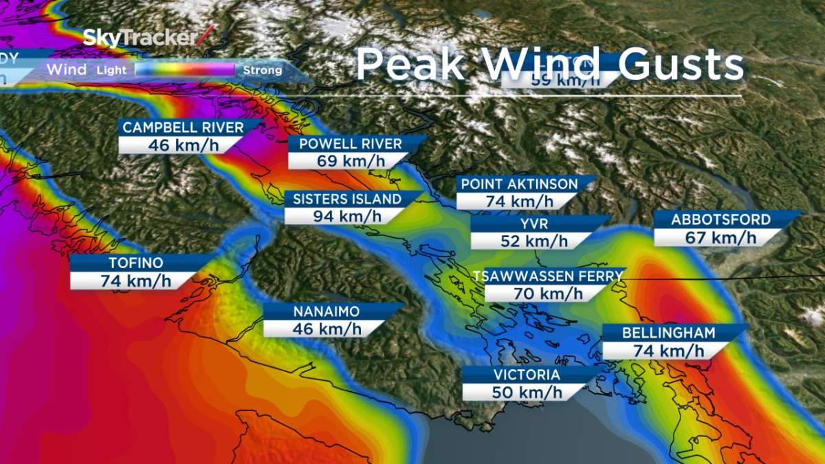 Multiple pedestrians hit as police urge caution on wet Metro Van roads - image