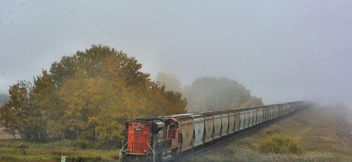 Nov. 3: Ian Robertson took this Your Saskatchewan photo near Kinley.