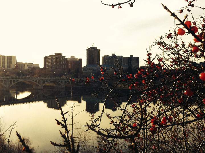 Nov. 10: This Your Saskatchewan photo was taken in Saskatoon by Joanne Sarmiento.