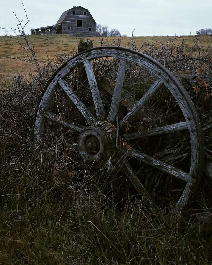 Nov. 17: This Your Saskatchewan photo was taken by Laura Heise near Southey.