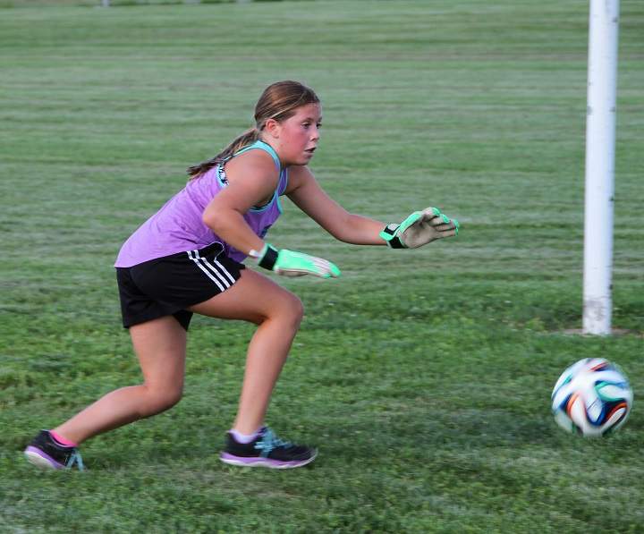 Concussions in kids can be detected by a new blood test: study - image