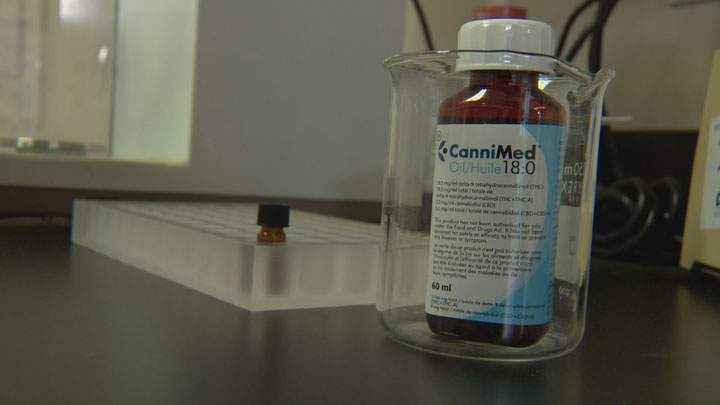 Supporters of the Saskatchewan Compassion Club rally at city hall; CanniMed weighs in on what it calls an improved federal medical marijuana program.