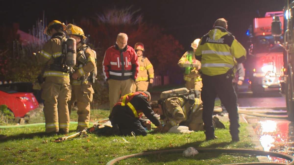 Firefighters use pet oxygen mask to save dog caught in house fire - image