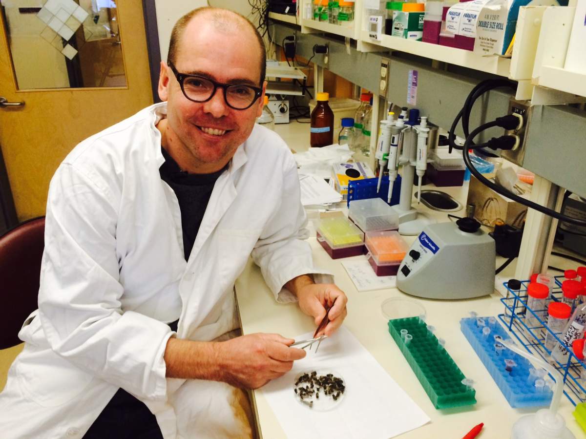 Dr. Leonard Foster is using science to give natural selection a helping hand.