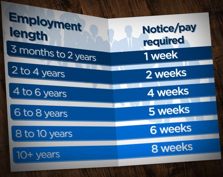 Alberta job cuts: What are your rights after being laid off? - image