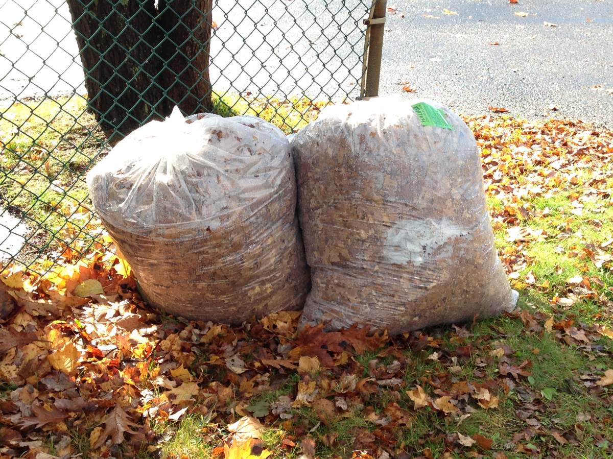The City of Calgary will not collect yard waste in plastic bags. Remember to put leaves, branches and grass into paper yard waste bags or directly into your green cart.