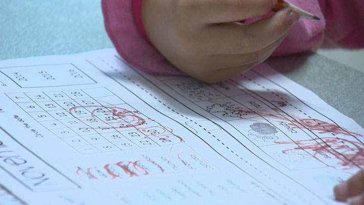 A local education expert says schools are responsible for helping integrate not only new Canadian children, but their families as well.