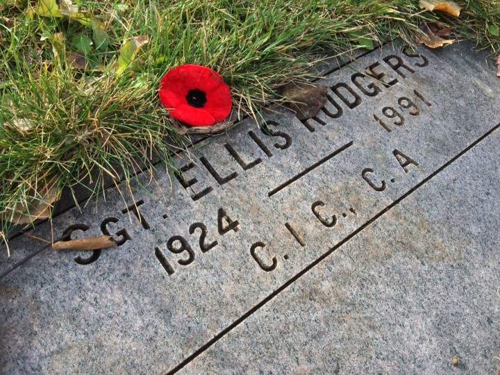 Hundreds gather to pay their respects to Canada's soldiers at the Pointe-Claire National Field of Honour, Tuesday, November 11, 2015.