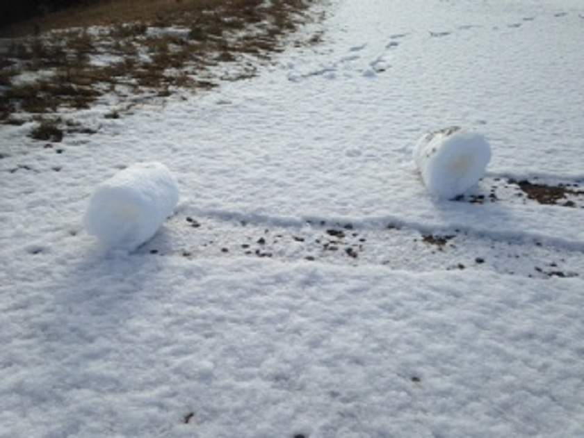 snow roller