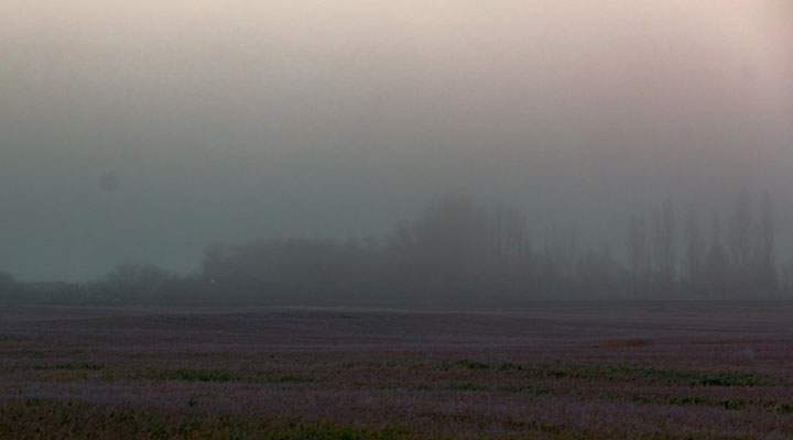 November 8: This Your Saskatchewan photo was taken by Jenny Andrew of a foggy morning in Eatonia.