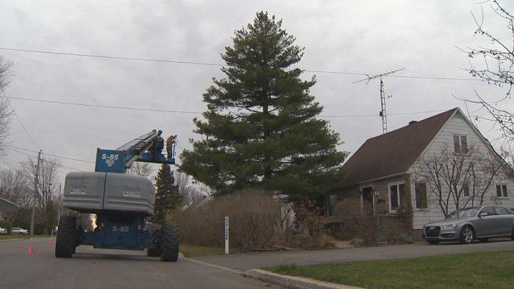 Robert Gallant needs a crane to decorate his Christmas tree. Saturday, Nov. 21, 2015.