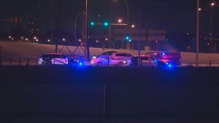 A man was arrested in west Edmonton after he allegedly assaulted an officer and then climbed a tree to escape police on Anthony Henday Drive near the 87th Avenue overpass. November 25, 2015.