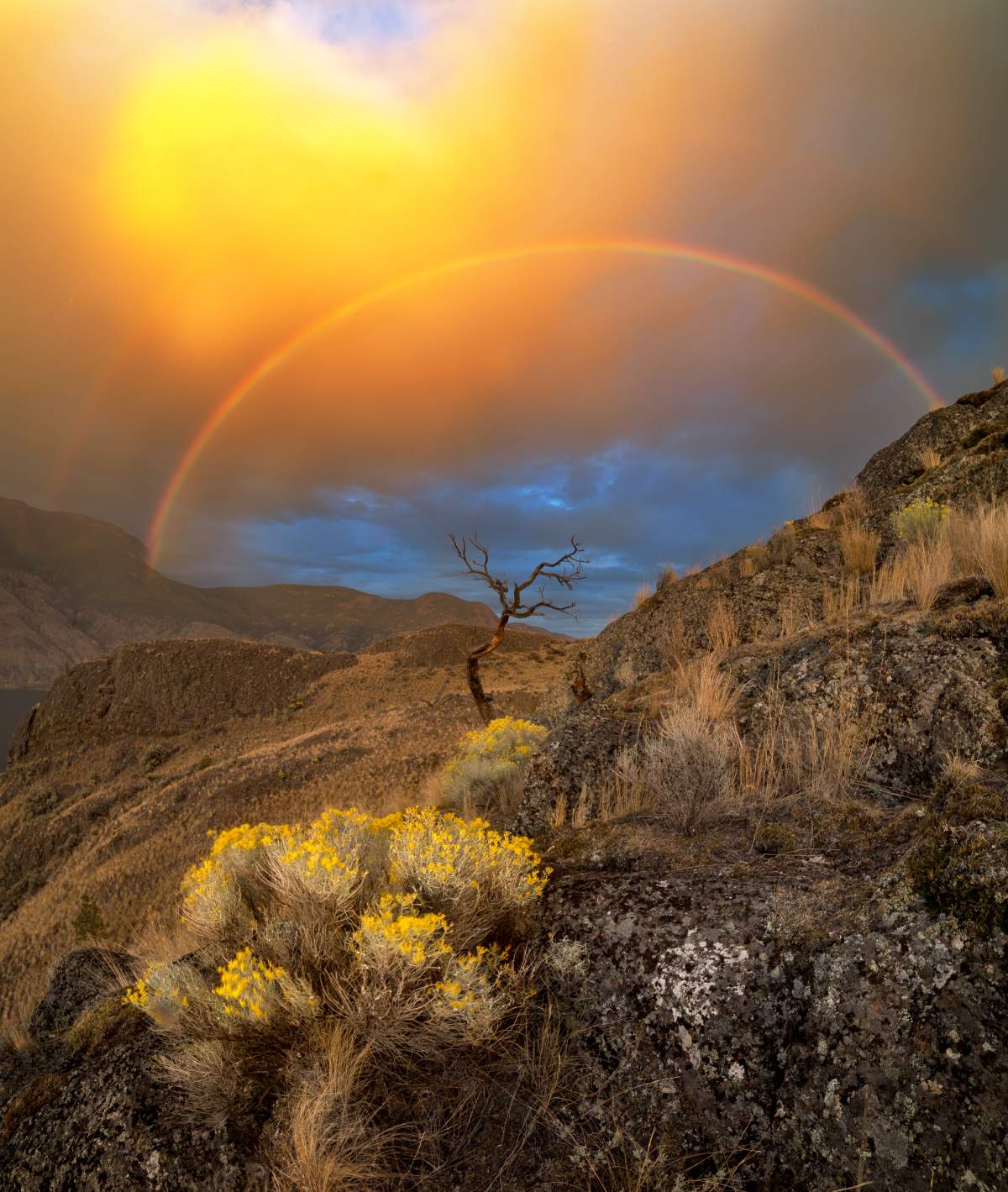 Best B.C. Weather Window Photos of 2015 - image