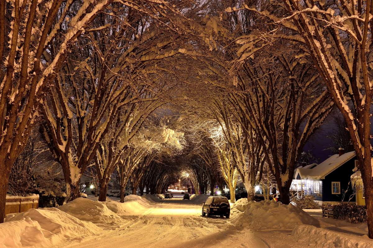 Best B.C. Weather Window Photos of 2015 - image