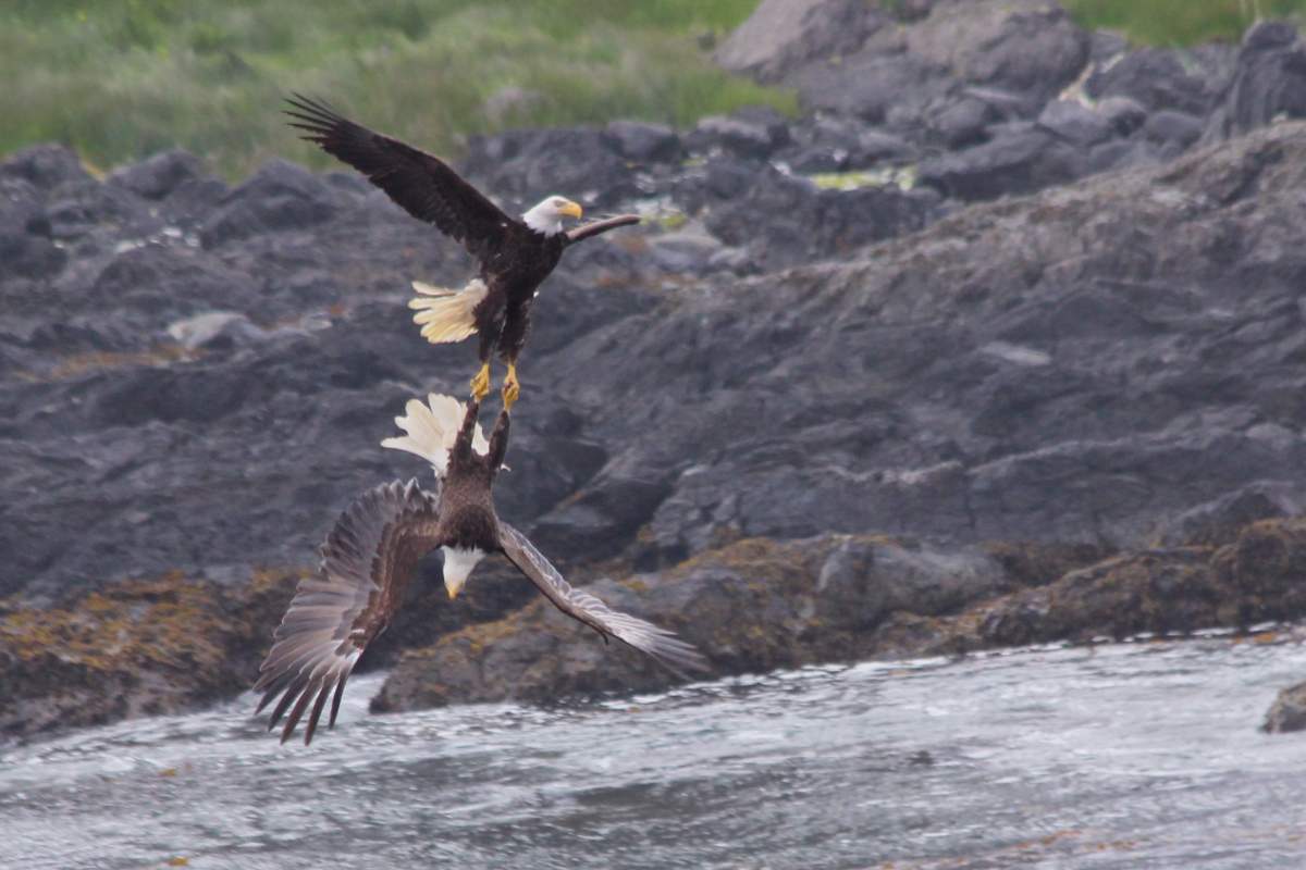 Best B.C. Weather Window Photos of 2015 - image