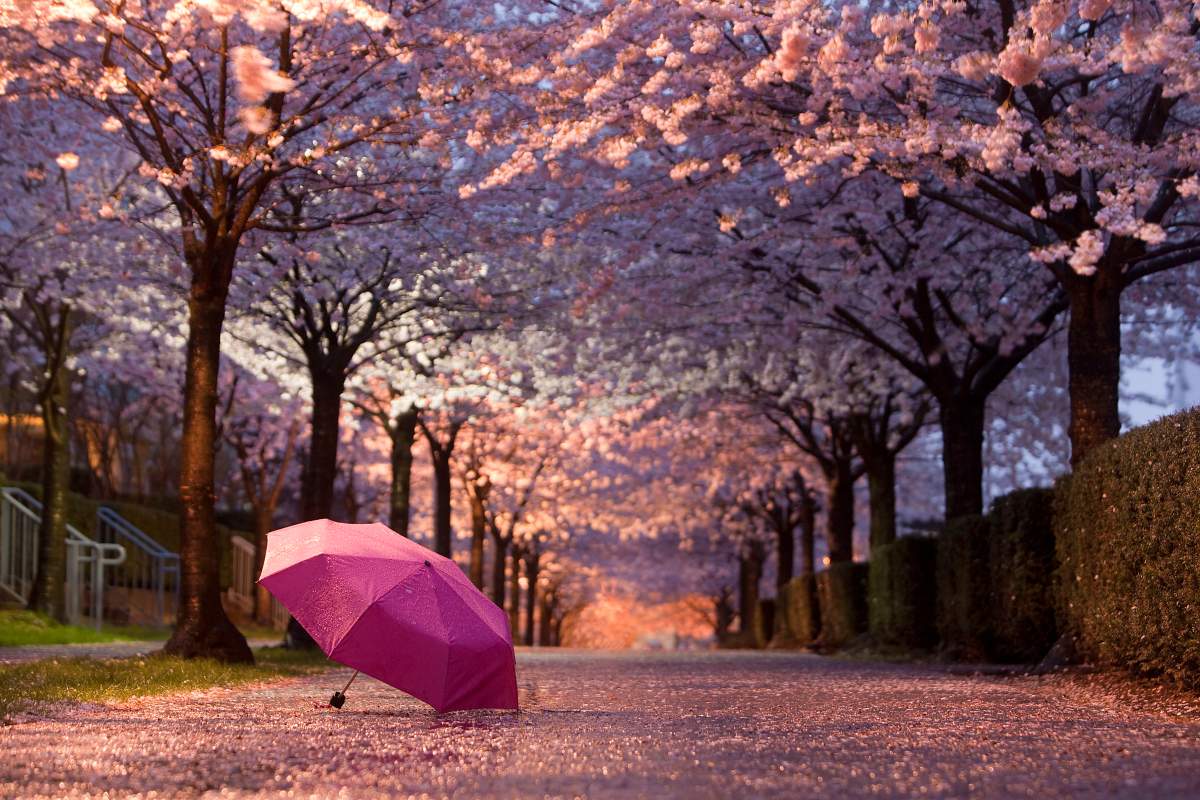 Best B.C. Weather Window Photos of 2015 - image