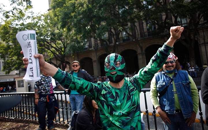 A supporter of the legalization of marijuana wears a Lucha Libre wrestling mask decorated with a marijuana leaf, as he celebrates outside the Supreme Court in Mexico City. Mexico's court ruled that growing, possessing and smoking marijuana for recreation are legal under a person's right to personal freedoms. 