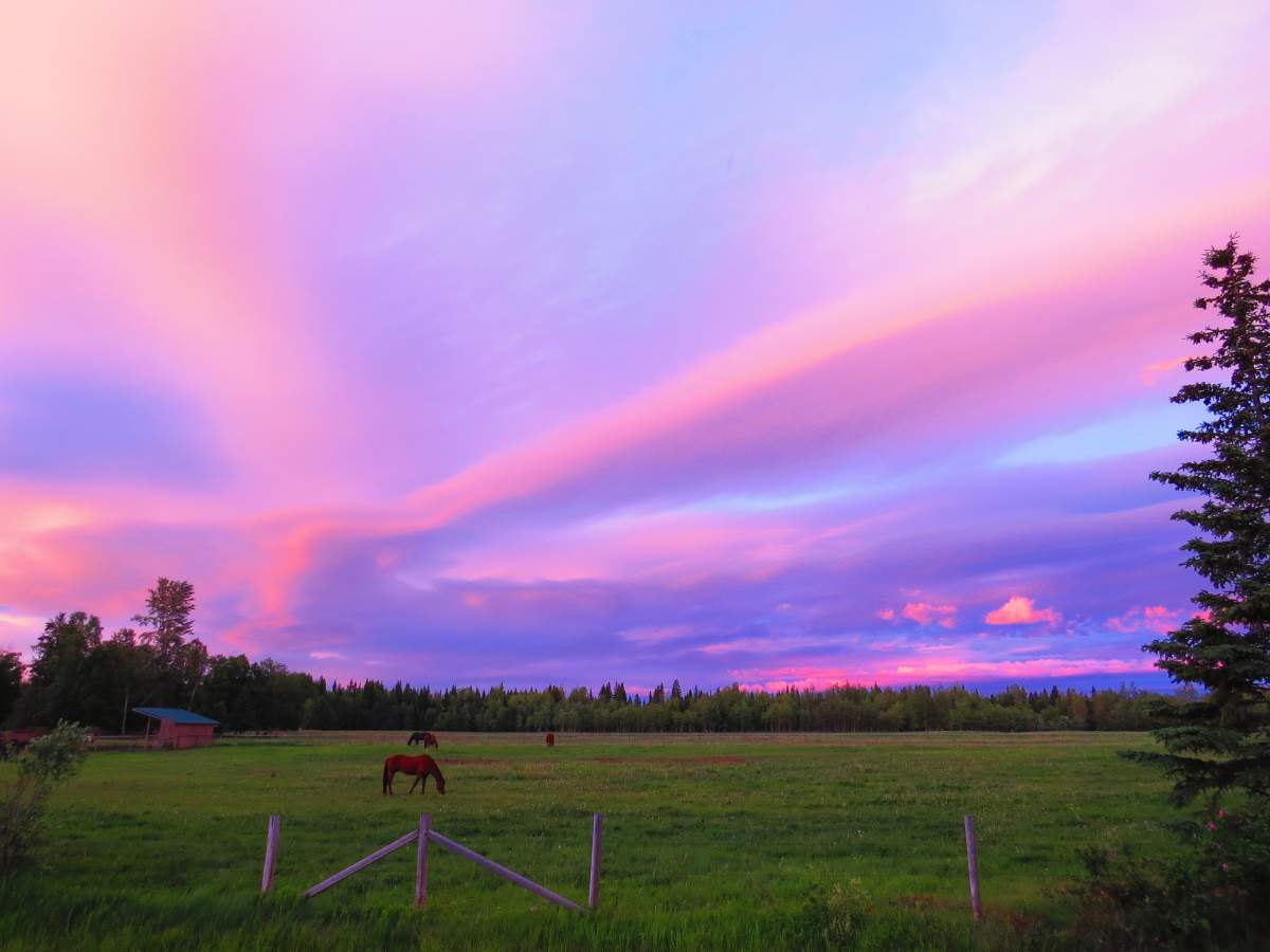Best B.C. Weather Window Photos of 2015 - image