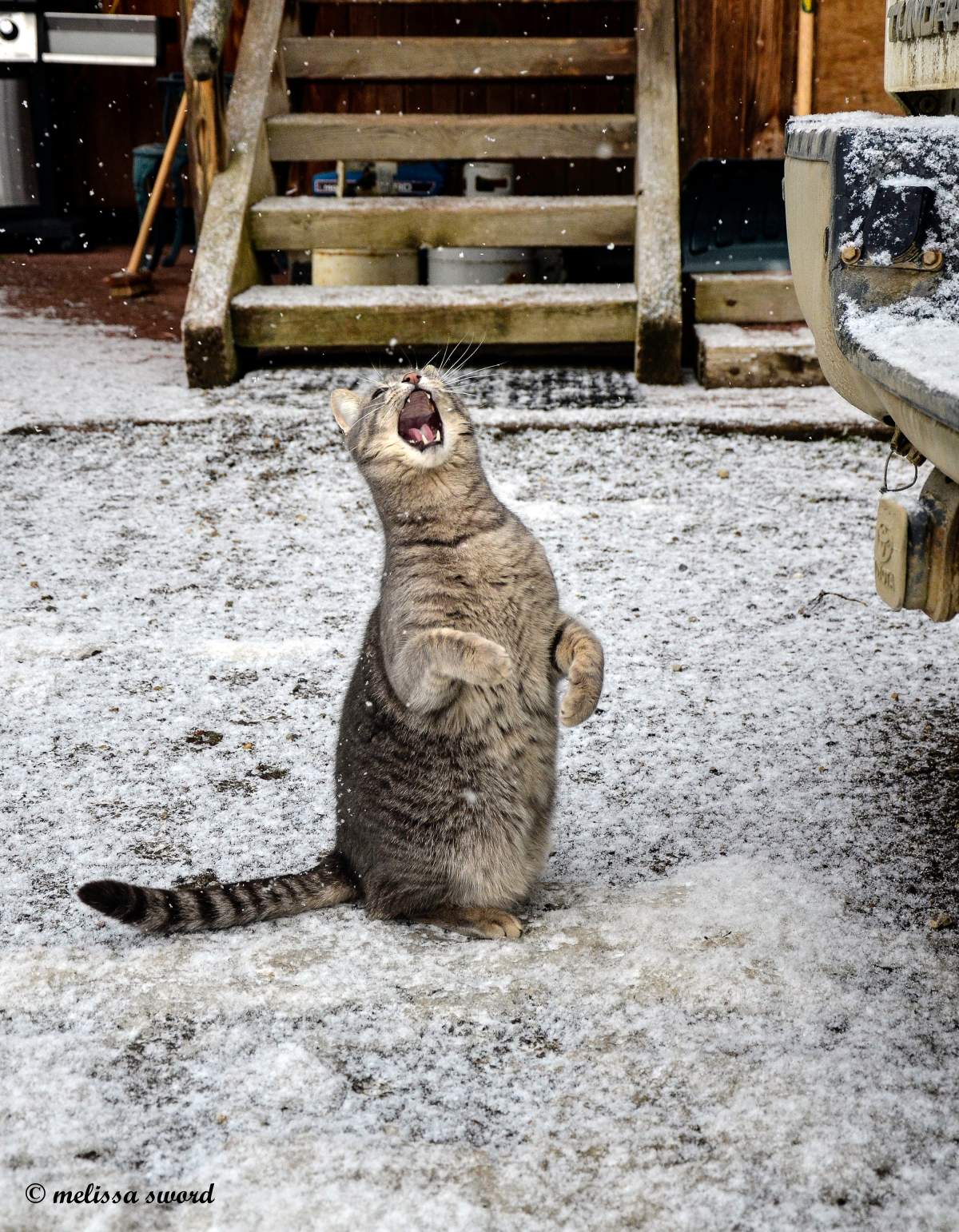 Best B.C. Weather Window Photos of 2015 - image