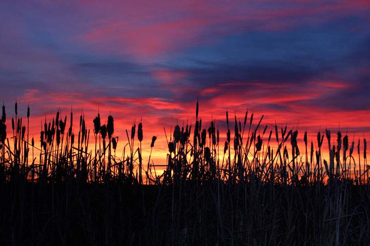 Dec. 15: Dale Boan took this Your Saskatchewan photo near Porter Lake east of Saskatoon.