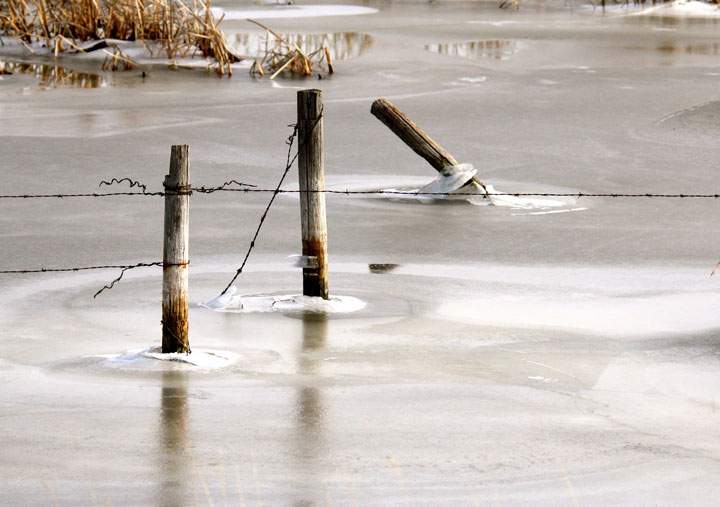 Dec. 16: This Your Saskatchewan photo was snapped near Herbert by Krista Routledge.