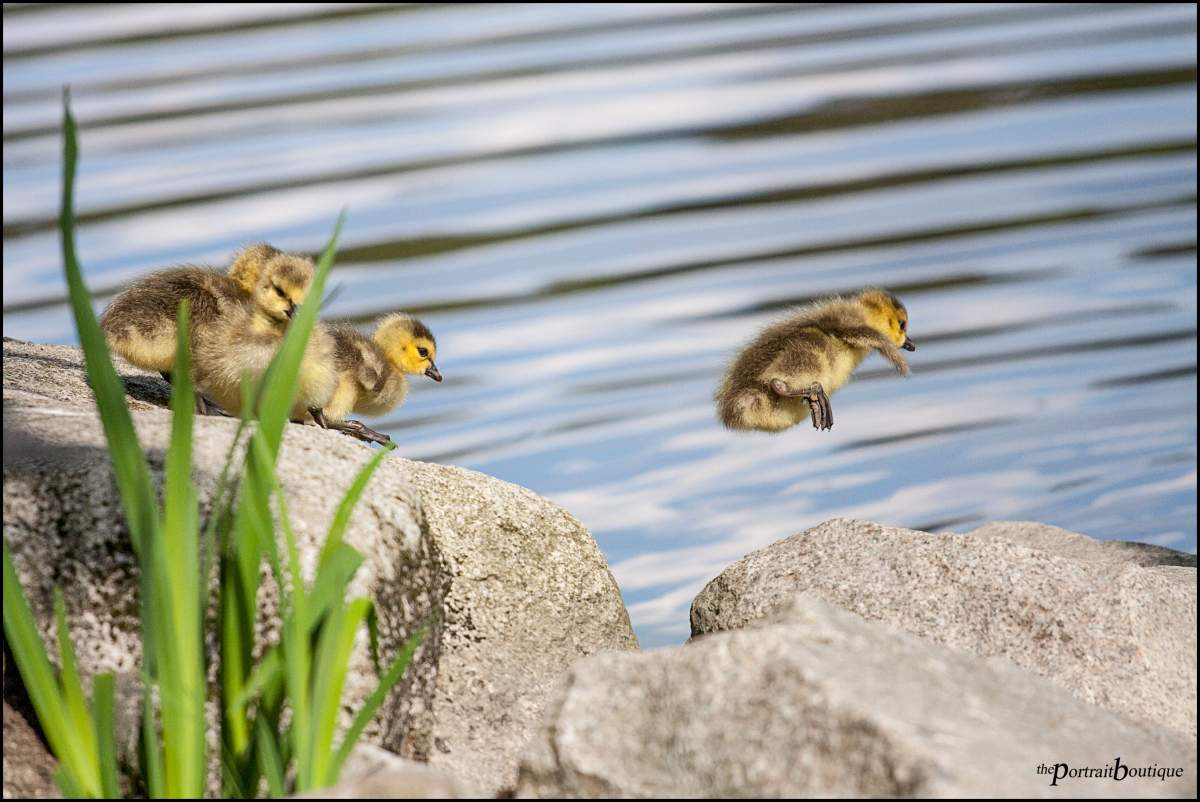 Best B.C. Weather Window Photos of 2015 - image