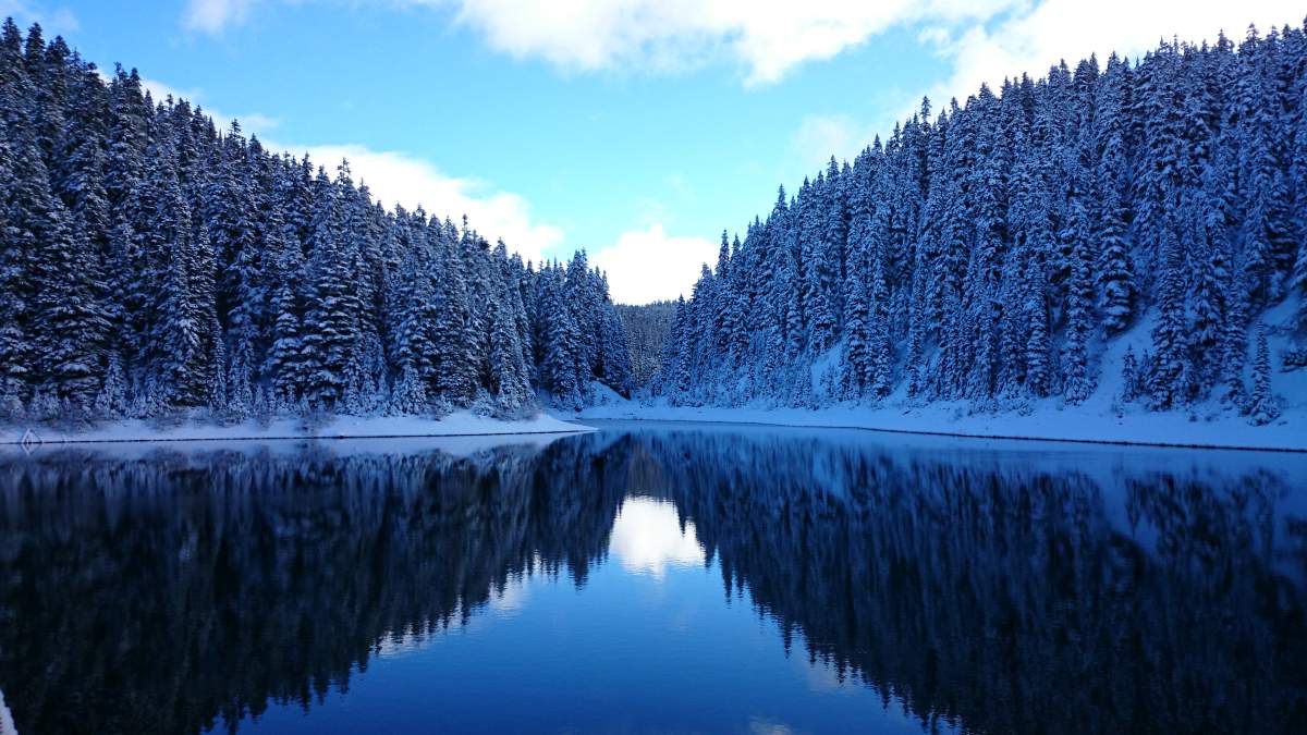 Best B.C. Weather Window Photos of 2015 - image