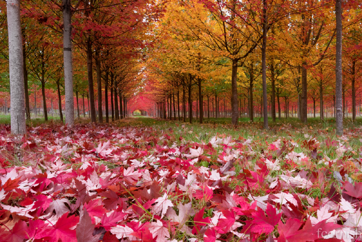 Best B.C. Weather Window Photos of 2015 - image