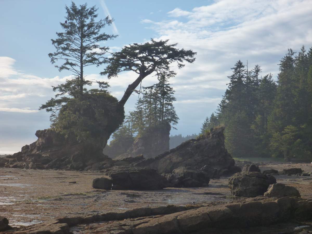 Best B.C. Weather Window Photos of 2015 - image