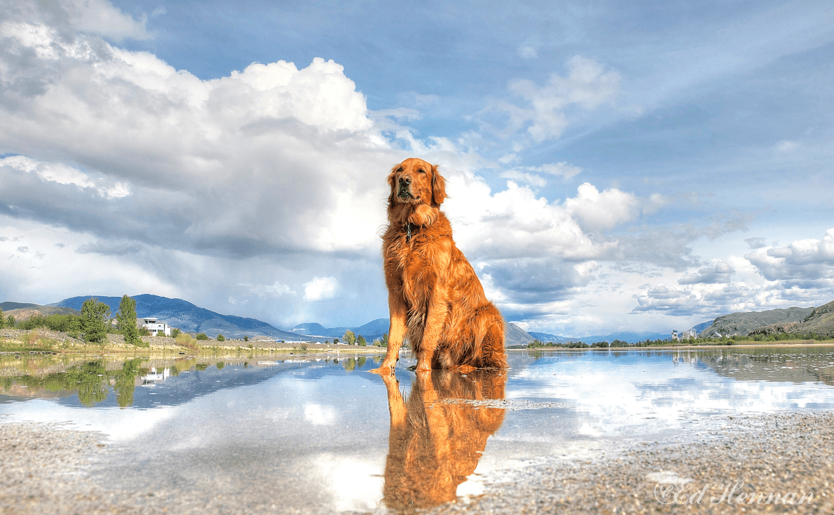 Best B.C. Weather Window Photos of 2015 - image