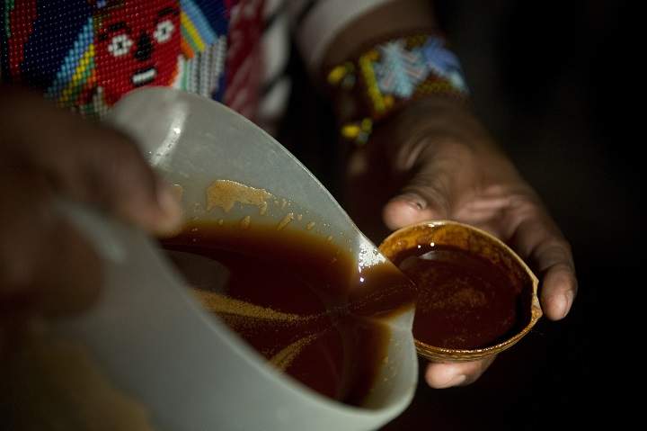 Health Canada has granted special exemptions to three more religious groups for the use of ayahuasca.