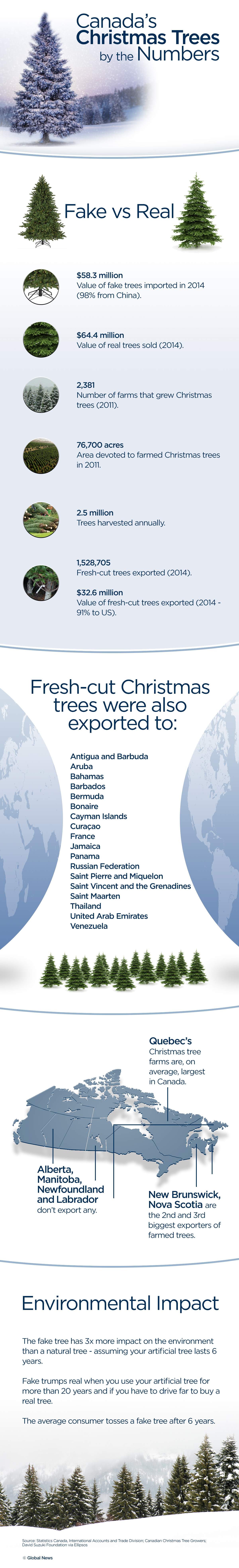 Fake vs. real Christmas trees: The perennial debate - image